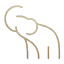 Favicon of Chang Thai Cafe