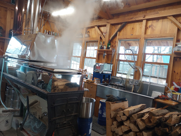 Photo of Matras Maple