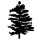 Favicon of Pine
